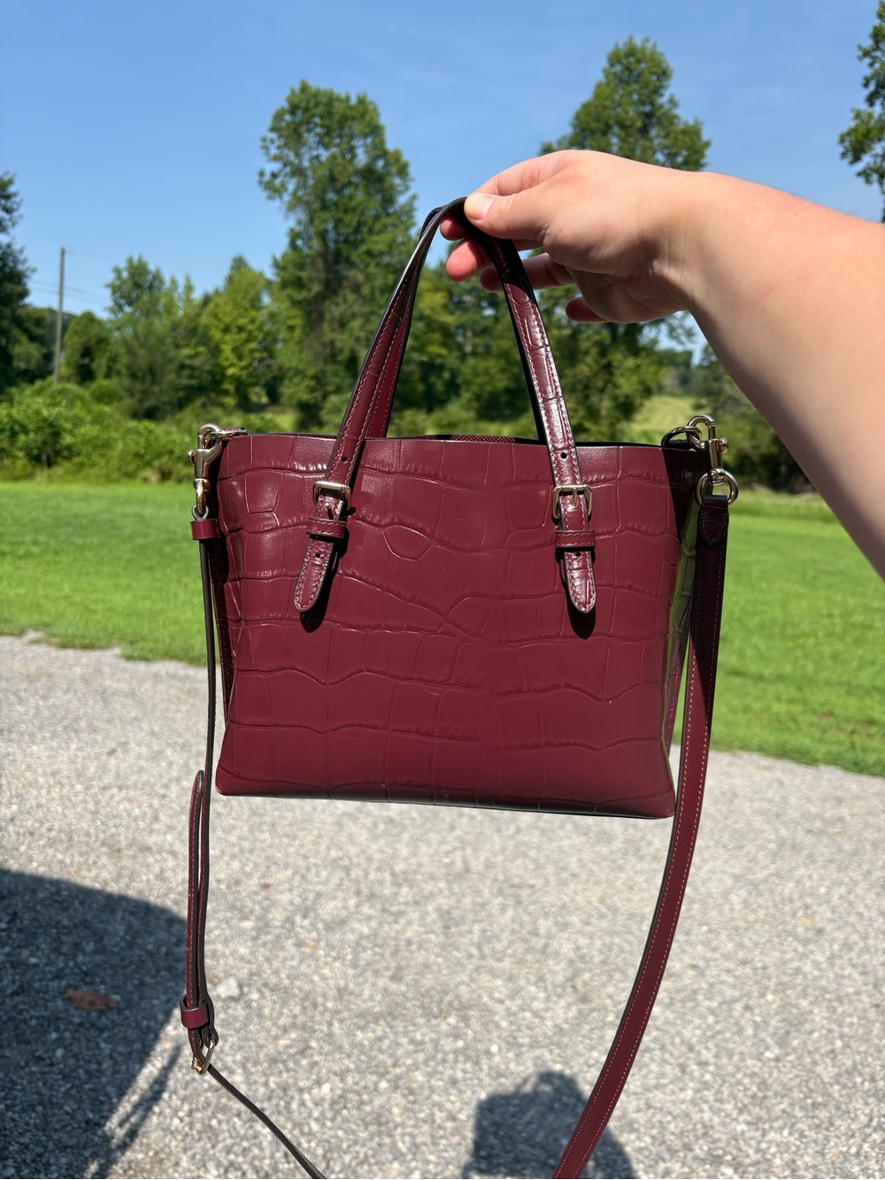 Authentic Coach Molly 25 Tote bag (measurement pictured) - Picture 2 of 13